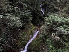 -牛背梁国家森林公园