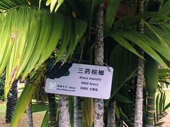 -万绿园