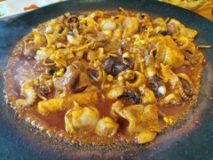 -红辣椒八爪鱼特色韩国料理