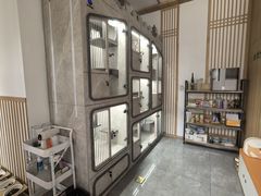 -山宅一喵德文卷毛猫舍