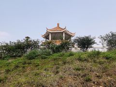 -金山植物公园