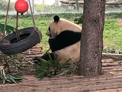 -西安秦岭野生动物园