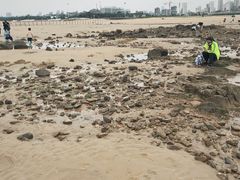 -日照灯塔风景区