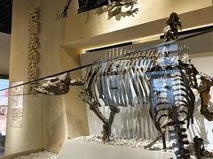 -国家自然博物馆