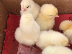 -兴芮温泉度假区