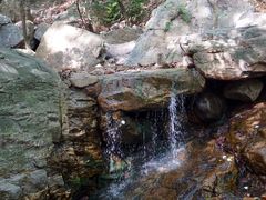 -兴福老面馆(寺路街店)