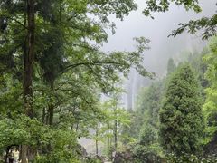 -刘伯温故里景区百丈漈