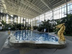 -中家鑫园温泉酒店鑫悦汤泉