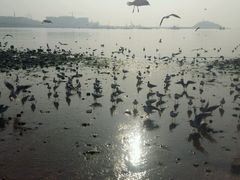 -老味道民宿(栈桥店)