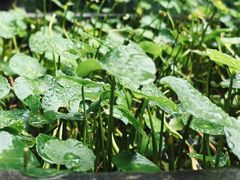 -宁波市保国寺古建筑博物馆