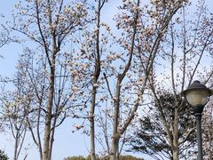 -苏州太湖湖滨国家湿地公园