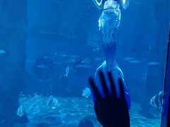 -北戴河圣蓝海洋公园