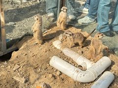 -水上乐园·欢乐世界