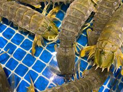 -三亚火车头万人海鲜广场