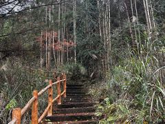 -龙里油画大草原旅游区