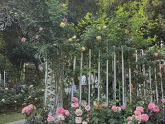 -人民公园(罗湖区)