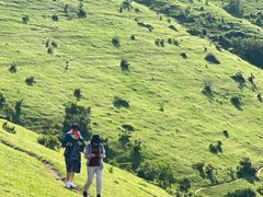 -大姆山草场