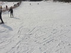 -蓟县盘山滑雪场