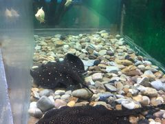 -常州海昌海洋探索馆