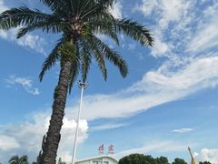 -德宏芒市国际机场