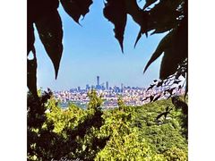-香山公园