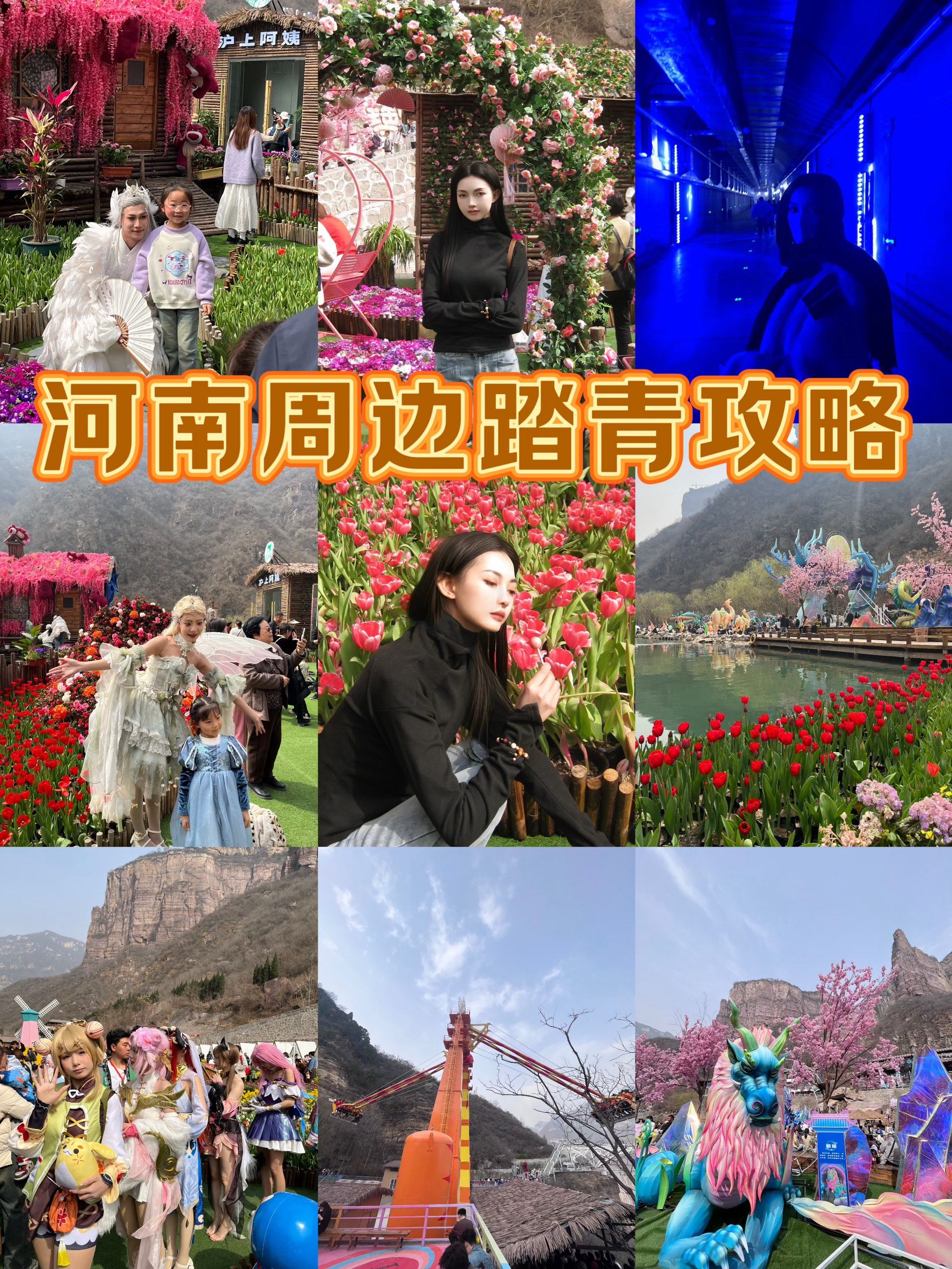 河南周边踏青好地!宝泉郁金香赏花98