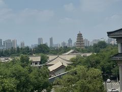 -亮宝楼国宴+文化陕菜