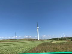 -张北坝上草原