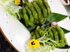 -南山酒肆(南山董事绘店)