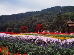 -广州市石门国家森林公园