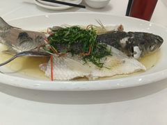 -聚彩居三和酒楼•老字号粤菜(南城店)