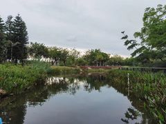 -映月湖公园