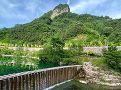 -王莽岭风景区