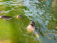 -华夏文旅海洋公园