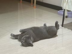-绿茶餐厅(哈尔滨凯德店)