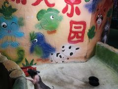 -白鹿仓冰雪海洋世界