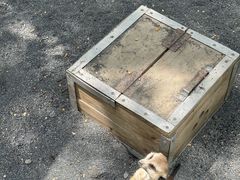 -水上乐园·欢乐世界