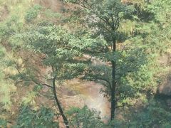 -千泷沟大瀑布旅游区