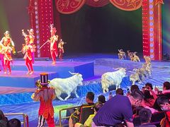 -珠海横琴长隆《卡卡虎奇遇记》