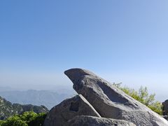 -泰山风景名胜区