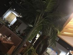 -春润大地海南椰子鸡(沙井京基百纳广场店)