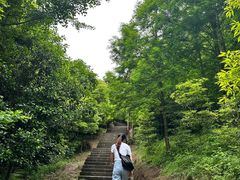 -凤栖山