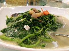 上汤苋菜-满福隆酒楼(万绿园店)