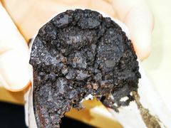 -好利来(新华百货店)