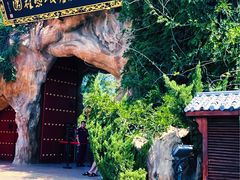 -大槐树寻根祭祖园