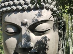 -杭州植物园