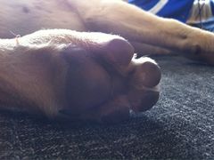 -武夷山旧街壹号溪岸旅馆(三姑度假区店)