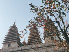 -北京石刻艺术博物馆(五塔寺)