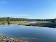 -溱湖国家湿地公园