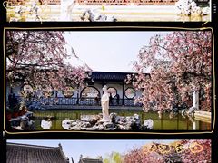 -莫愁湖公园